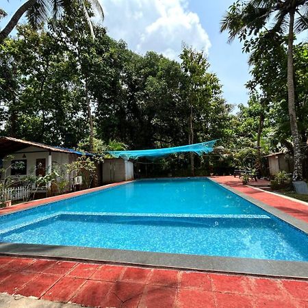 King Villa Goa Палолем Экстерьер фото